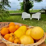 Villa Joyosa Apartments